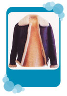 ��v�N���[�j���O�@�W���P�b�g